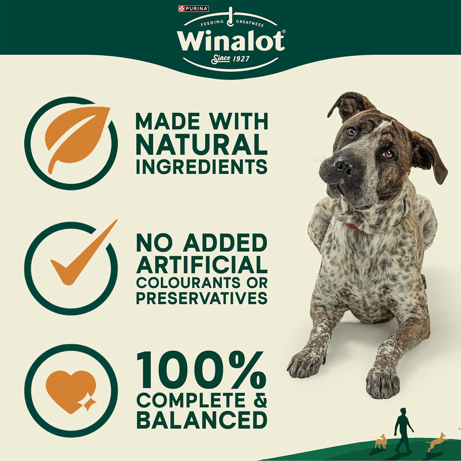 WINALOT Meaty Chunks Mixed in Gravy Wet Dog Food Pouches 80x100g