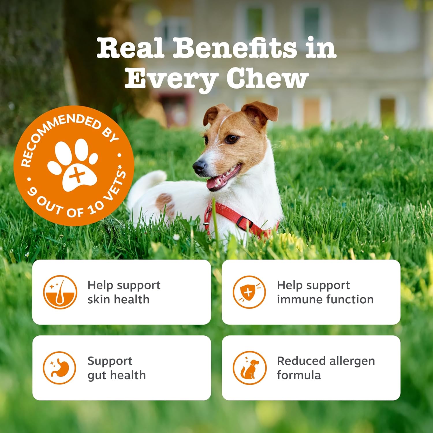 Zesty Paws Aller-Immune Chews for Dogs | Supports Immune Function, Helps Gut, Skin & Coat Health, For Itchy, Dry Skin | Contains Salmon Oil, Prebiotics, Probiotics, Vitamin A | Daily Use | 90 Chews